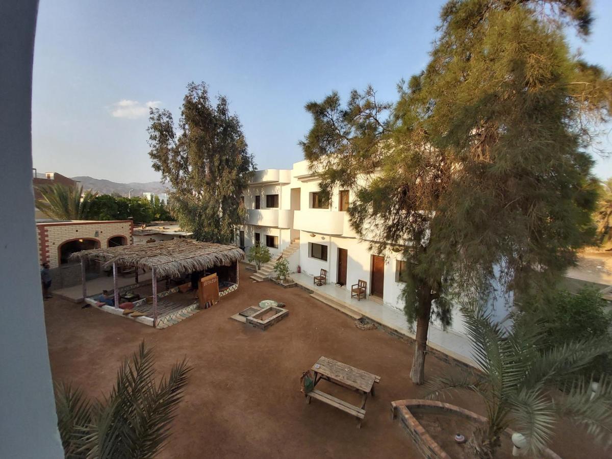 Oasis Fighting Kangaroo Hotel Dahab Bagian luar foto