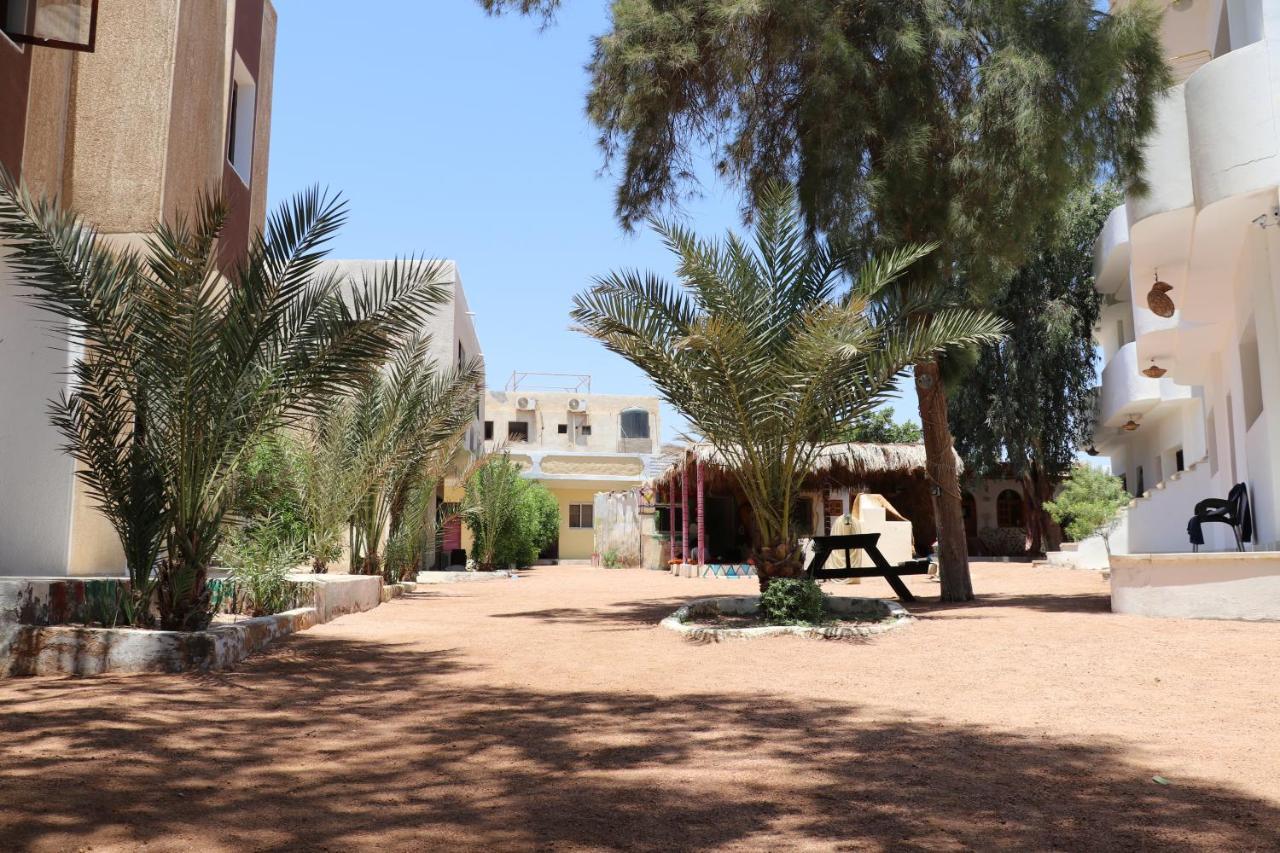 Oasis Fighting Kangaroo Hotel Dahab Bagian luar foto